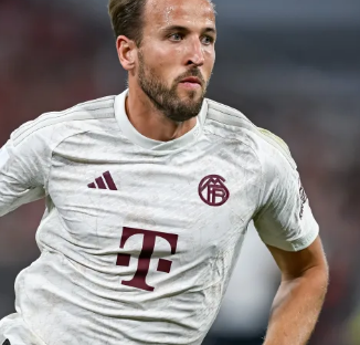 成长是无法 成长是无法